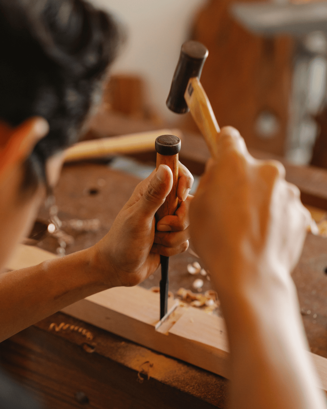 Travail de produit brut – TerraGo